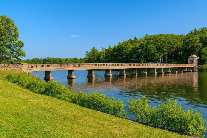 Local Shelf System Installation in Abington, MA